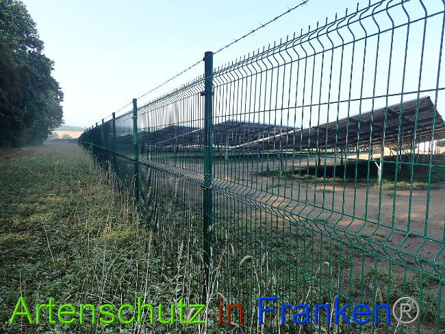 © Artenschutz in Franken® Bild zum Eintrag (1031113-160)
