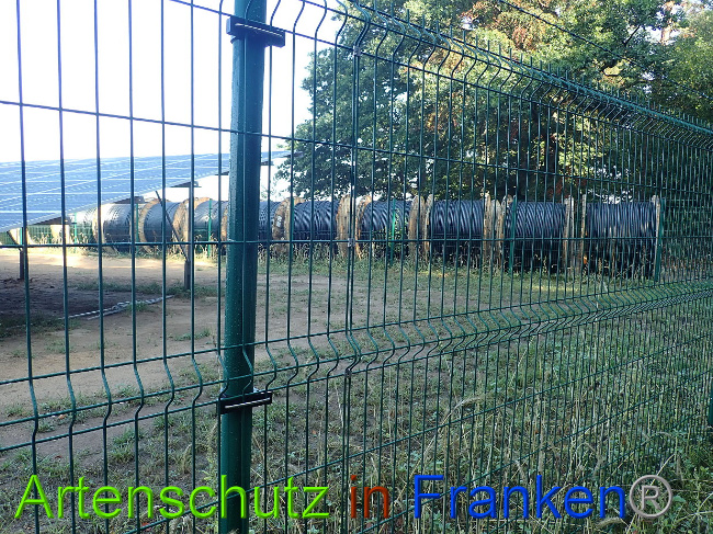 © Artenschutz in Franken® Bild zum Eintrag (1031115-160)