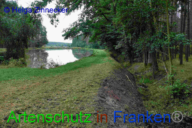 © Artenschutz in Franken® / Helga Zinnecker Bild zum Eintrag (1033450-160)