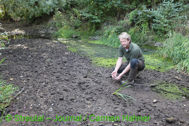 © Streutal-Journal / Carmen Hahner Bild zum Eintrag (1033998-160)