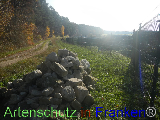 © Artenschutz in Franken® Bild zum Eintrag (1037760-160)