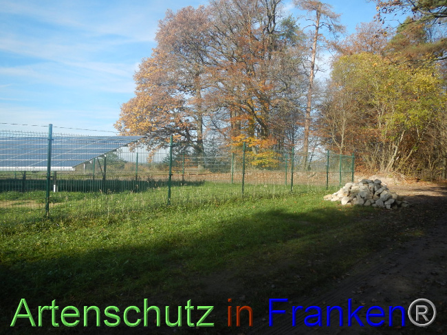 © Artenschutz in Franken® Bild zum Eintrag (1037763-160)