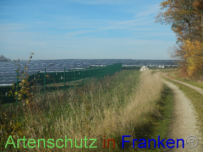 © Artenschutz in Franken® Bild zum Eintrag (1037768-160)