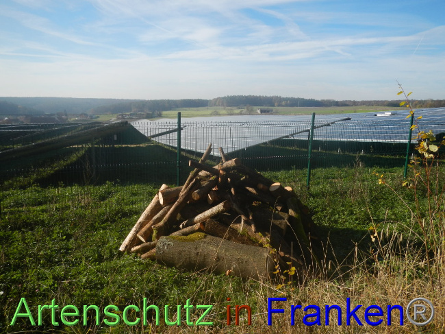 © Artenschutz in Franken® Bild zum Eintrag (1037770-160)
