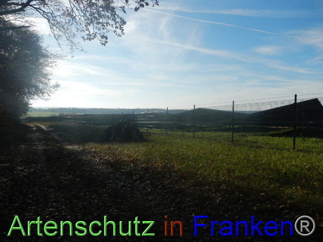 Bild zum Eintrag (1037775-160)