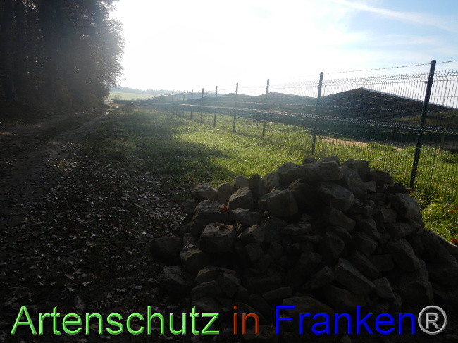 Bild zum Eintrag (1037776-160)