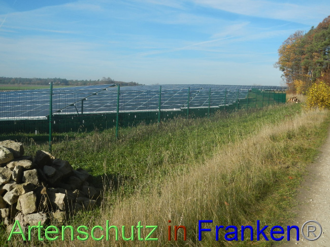 © Artenschutz in Franken® Bild zum Eintrag (1037778-160)
