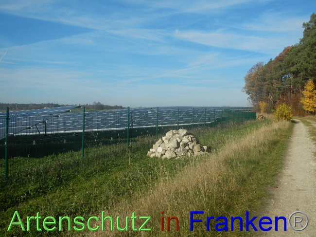 © Artenschutz in Franken® Bild zum Eintrag (1037779-160)