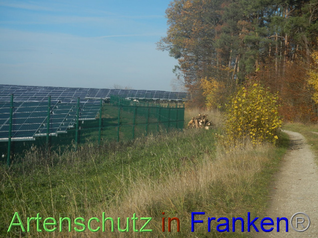 © Artenschutz in Franken® Bild zum Eintrag (1037780-160)