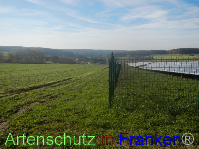 © Artenschutz in Franken® Bild zum Eintrag (1037782-160)