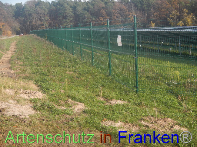 © Artenschutz in Franken® Bild zum Eintrag (1037786-160)