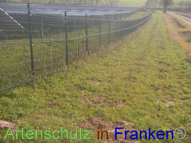 © Artenschutz in Franken® Bild zum Eintrag (1037787-160)