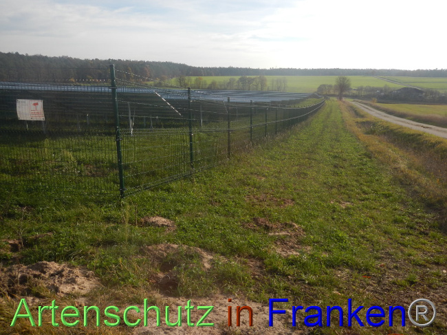 © Artenschutz in Franken® Bild zum Eintrag (1037788-160)