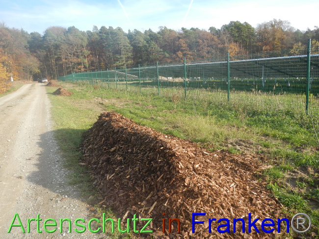 © Artenschutz in Franken® Bild zum Eintrag (1037790-160)