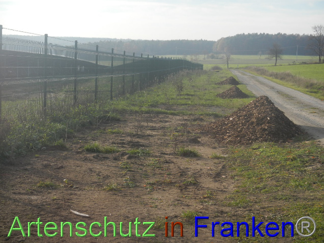 © Artenschutz in Franken® Bild zum Eintrag (1037796-160)