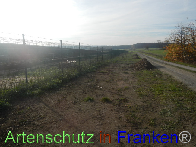© Artenschutz in Franken® Bild zum Eintrag (1037797-160)