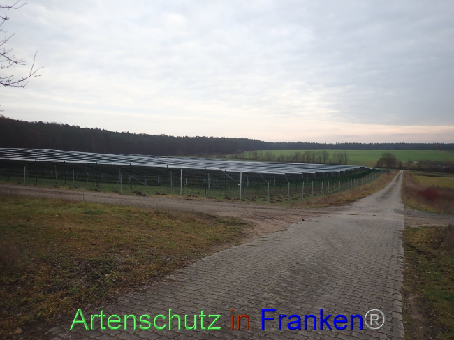© Artenschutz in Franken® Bild zum Eintrag (1040489-160)