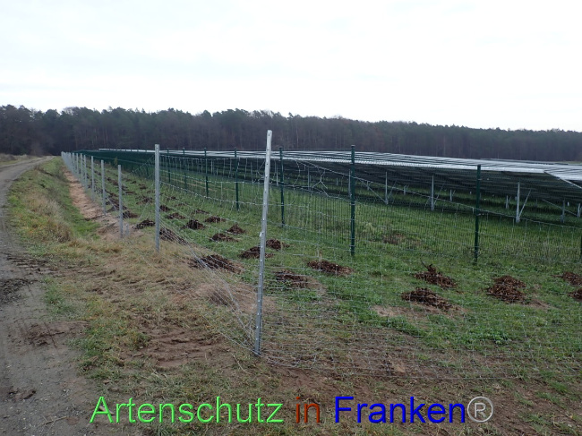 © Artenschutz in Franken® Bild zum Eintrag (1040490-160)