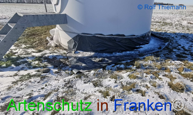 © Artenschutz in Franken® / Rolf Thiemann Bild zum Eintrag (1043383-160)