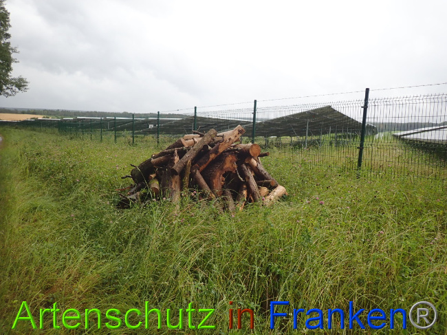 © Artenschutz in Franken® Bild zum Eintrag (1052202-160)
