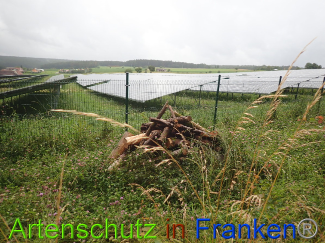 © Artenschutz in Franken® Bild zum Eintrag (1052205-160)
