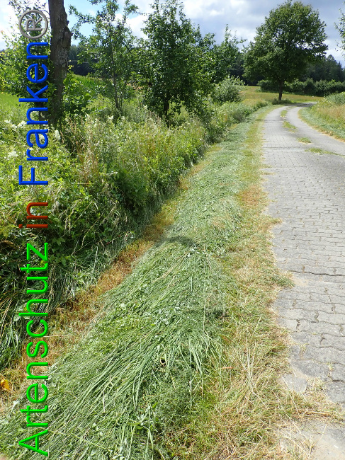 © Artenschutz in Franken® Bild zum Eintrag (1054093-160)