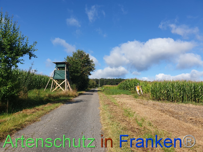 © Artenschutz in Franken® Bild zum Eintrag (1054478-160)