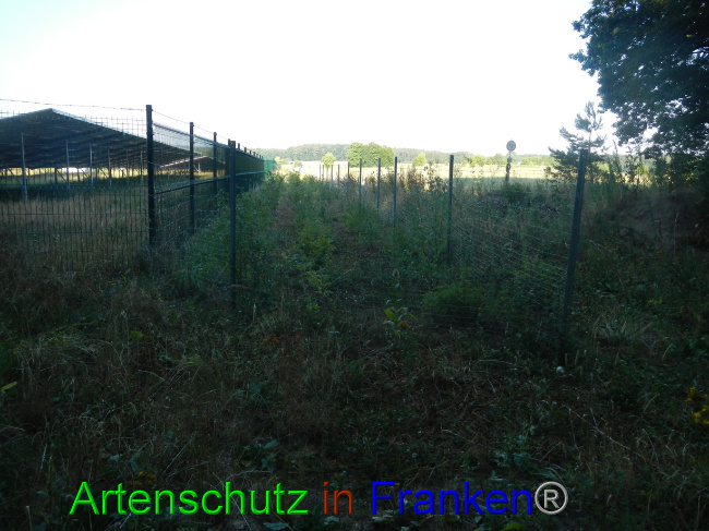 Bild zum Eintrag (1072540-160)