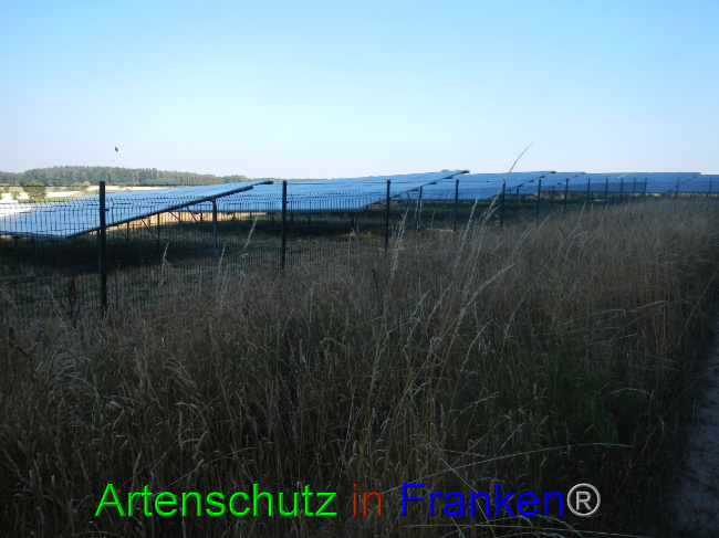 © Artenschutz in Franken® Bild zum Eintrag (1072545-160)