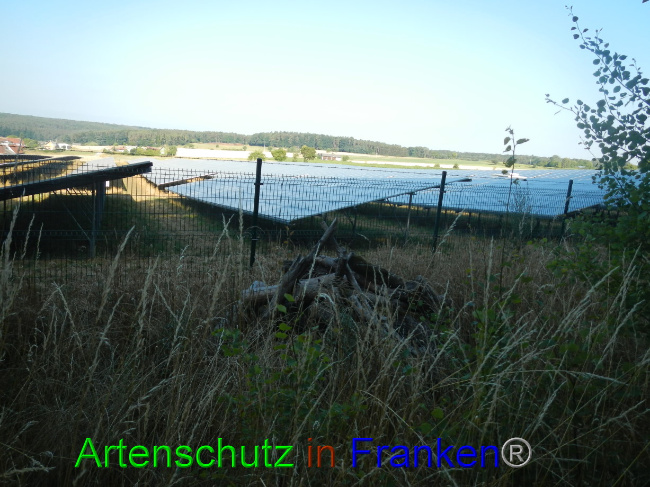 © Artenschutz in Franken® Bild zum Eintrag (1072546-160)