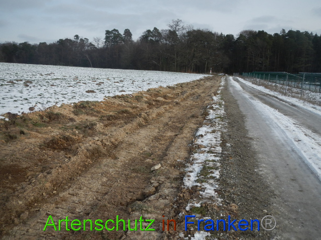 © Artenschutz in Franken® Bild zum Eintrag (1081614-160)