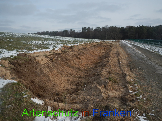 © Artenschutz in Franken® Bild zum Eintrag (1081641-160)