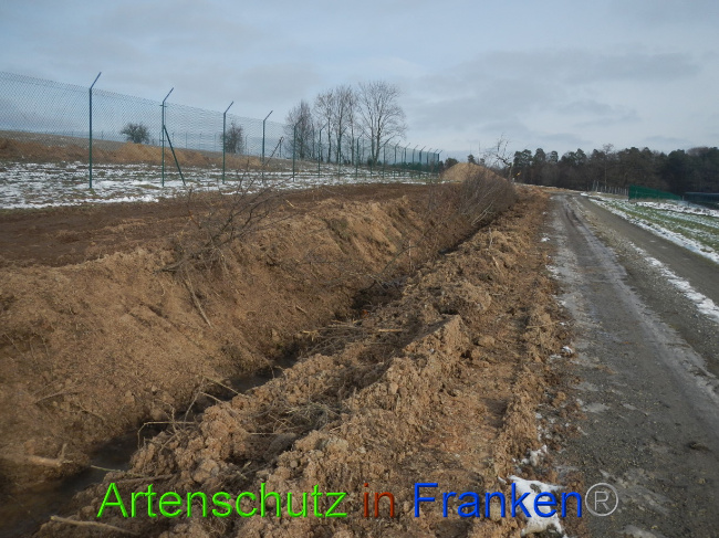 © Artenschutz in Franken® Bild zum Eintrag (1081646-160)