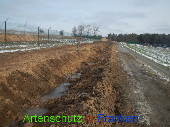 © Artenschutz in Franken® Bild zum Eintrag (1081649-160)