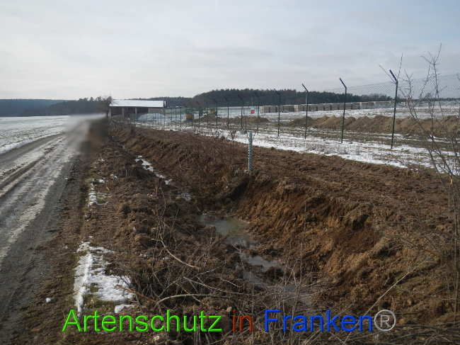 © Artenschutz in Franken® Bild zum Eintrag (1081660-160)