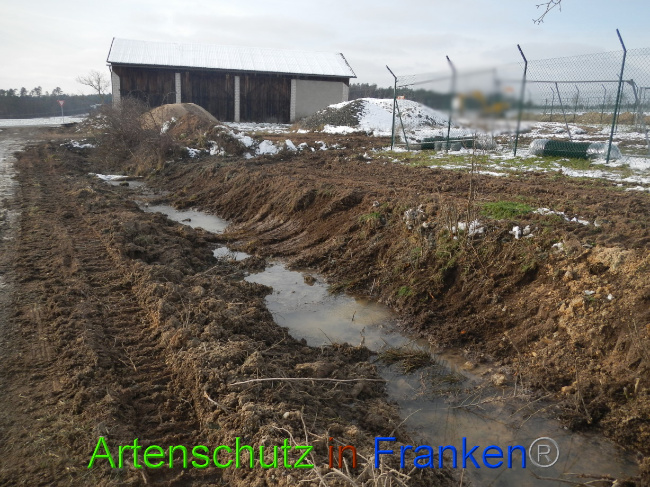 © Artenschutz in Franken® Bild zum Eintrag (1081665-160)