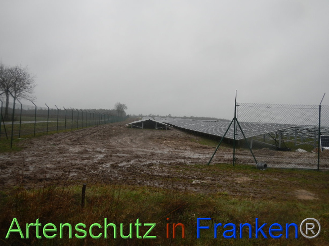 © Artenschutz in Franken® Bild zum Eintrag (1083254-160)