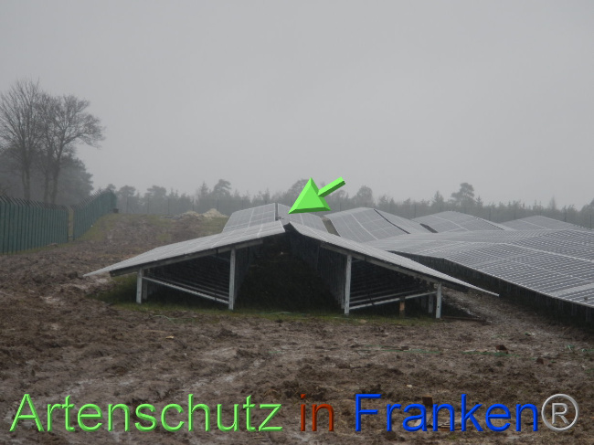 © Artenschutz in Franken® Bild zum Eintrag (1083256-160)