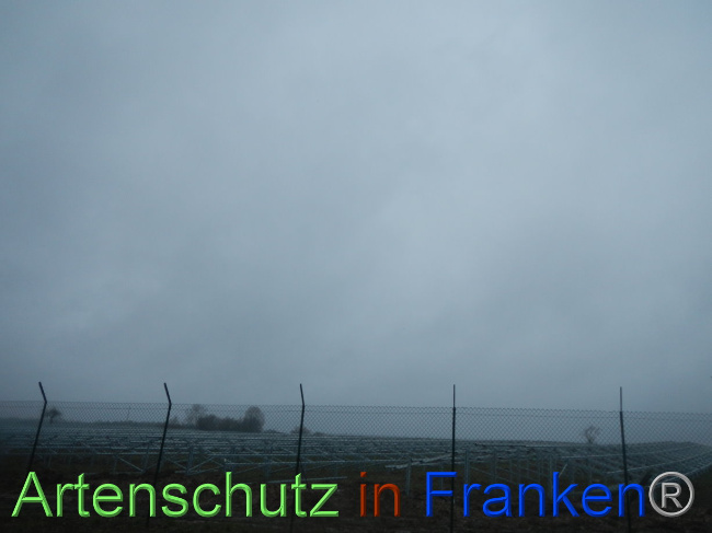 © Artenschutz in Franken® Bild zum Eintrag (1083259-160)