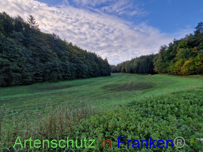 Bild zum Eintrag (1094642-160)