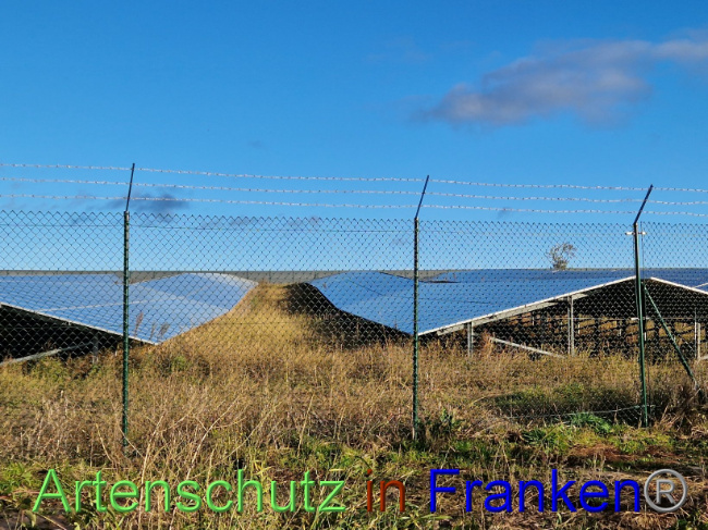 © Artenschutz in Franken® Bild zum Eintrag (1094768-160)