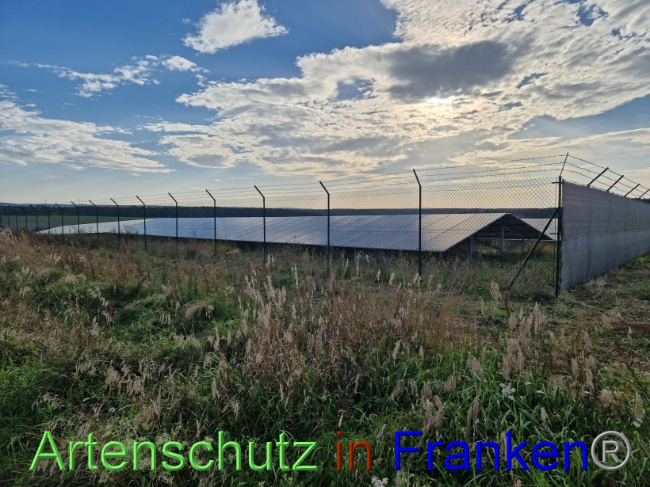 © Artenschutz in Franken® Bild zum Eintrag (1094770-160)