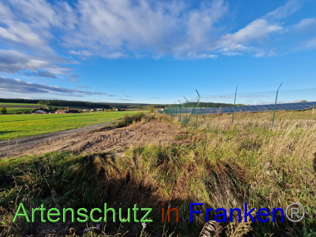 © Artenschutz in Franken® Bild zum Eintrag (1094771-160)