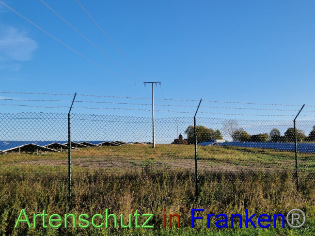 © Artenschutz in Franken® Bild zum Eintrag (1094781-160)