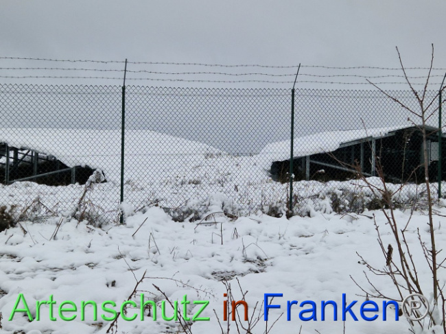 © Artenschutz in Franken® Bild zum Eintrag (1097460-160)