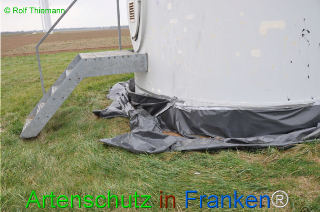 © Artenschutz in Franken® / Rolf Thiemann Bild zum Eintrag (1107482-160)