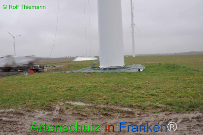 © Artenschutz in Franken® / Rolf Thiemann Bild zum Eintrag (1107484-160)