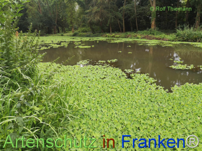 Bild zum Eintrag (1108711-160)