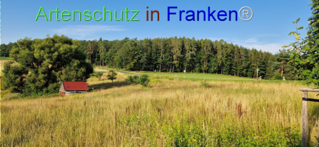 © Artenschutz in Franken® Bild zum Eintrag (1108986-160)