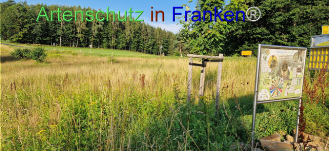 © Artenschutz in Franken® Bild zum Eintrag (1108987-160)